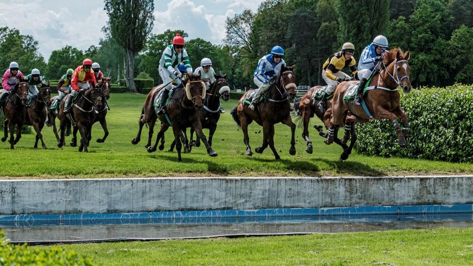 Nová jména i výzvy budoucnosti. Pět témat před 131. Velkou pardubickou