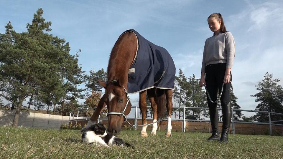 Chci si závody v O2 areně užít, jak nejlíp to půjde, říká Dvořáková