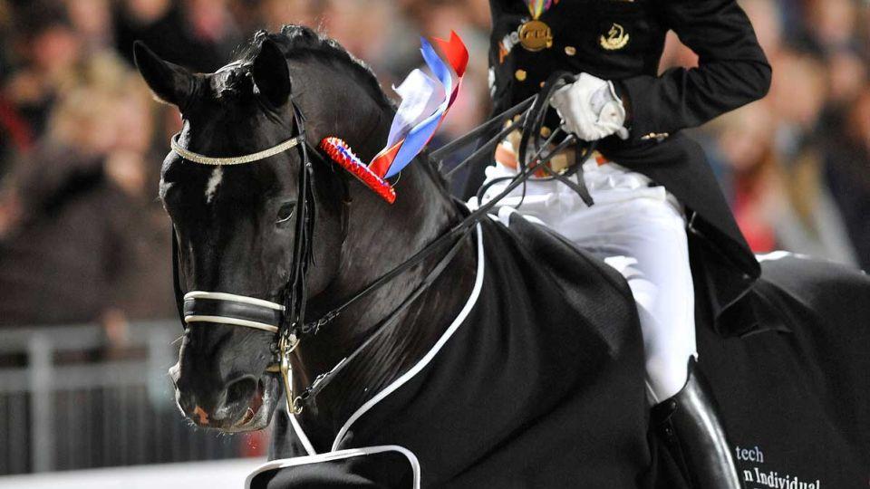 Carl Hester: Když jsem viděl mladého Totilase, spadla mi čelist na zem