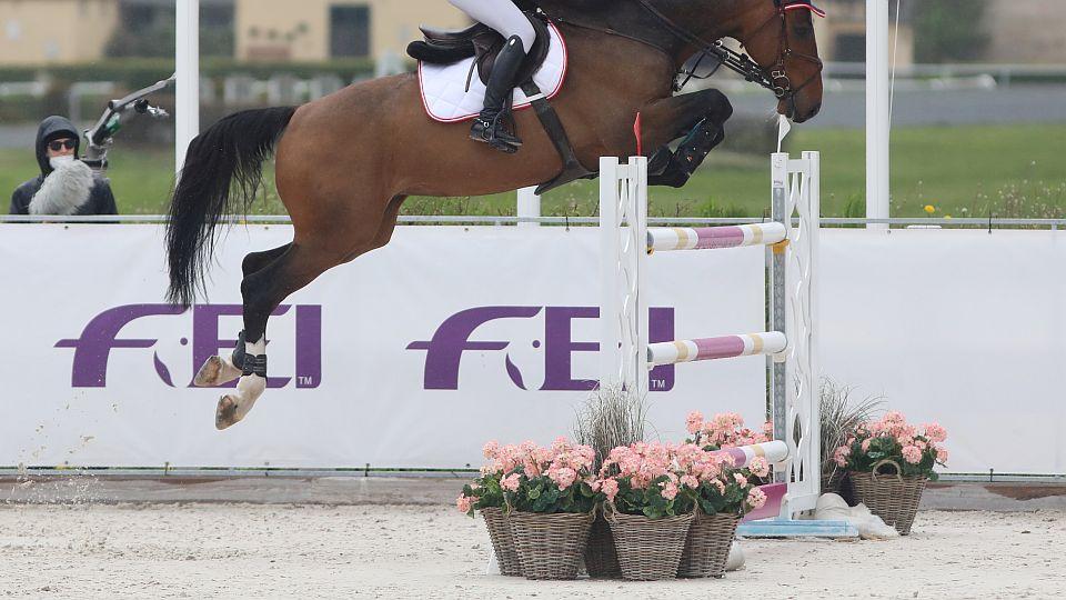 FEI ruší všechny mezinárodní jezdecké závody v Rusku a Bělorusku