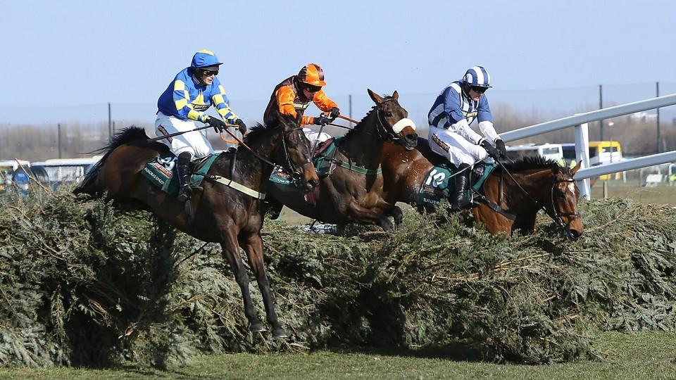 Vyhrál Gold Cup a pomohl usmířit Williama s Kate. Waley-Cohen končí