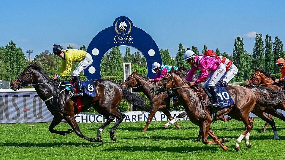 Živě: Kdo vyhraje generálku na derby? Sledujte Velkou červnovou cenu