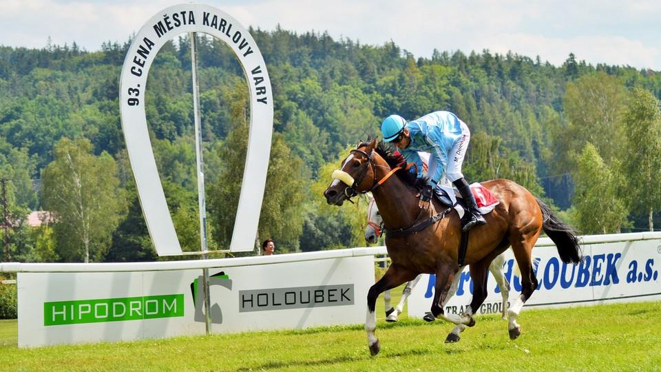 Nejprve boxy, pak soupeři. Rex Of Thunder v Karlových Varech nezklamal