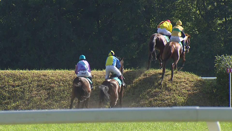 Equinews: Netolice viděly hattricky. Favoritem derby bude Leroy W