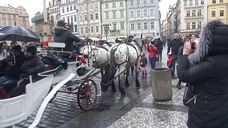 Nová naděje pro fiakry v Praze. Obavy o budoucnost koní však trvají