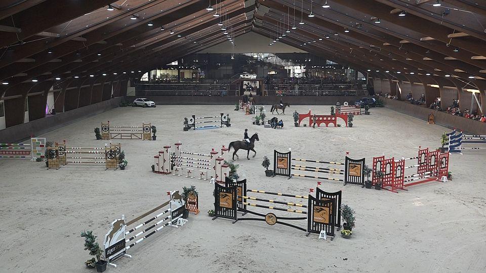 Dění v týdnu: Vrchol Zimního jezdeckého poháru i zahraniční výjezdy