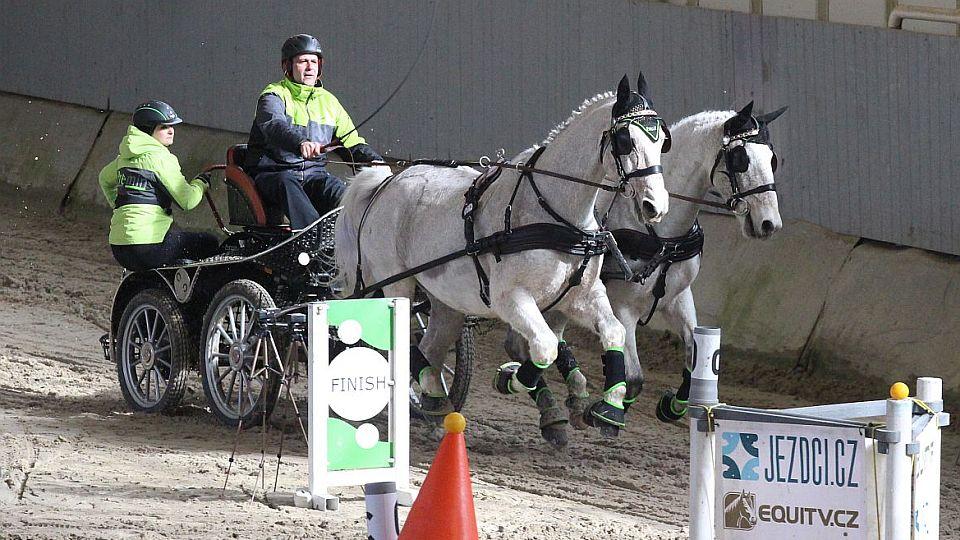 Myslík: Moji sportovní koně se přes léto jen pasou. V zimě zapřaháme
