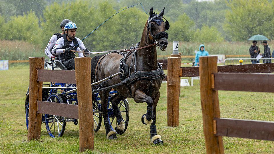 Tlumačov hostí vozatajský šampionát. Účastní se ho čtyři desítky spřežení