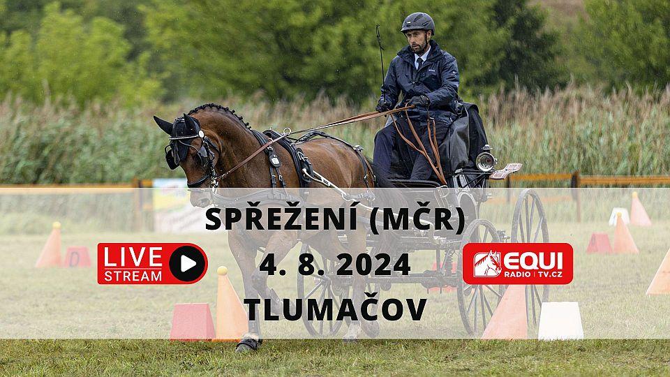 Živě: Sledujte mistrovství České republiky spřežení 2024 v Tlumačově