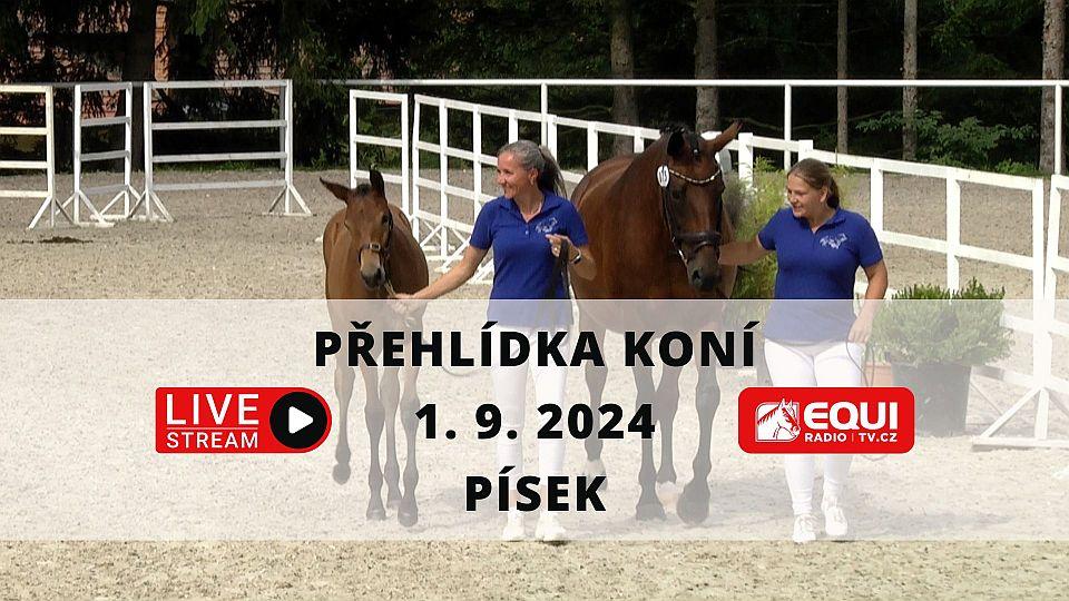 Živě: Finále přehlídky tříletých klisen a klisen s hříbaty 2024 v Písku