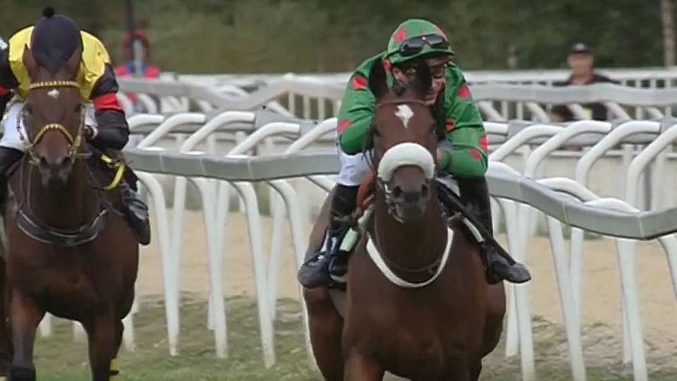 Gran Premio Merano patřilo Francouzům. Roman s Liškou zářili v Hannoveru