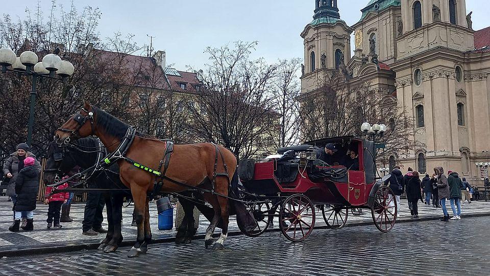 Konec fiakristů v Praze? Radní vyslyšeli hlas aktivistů, ti mají další cíle