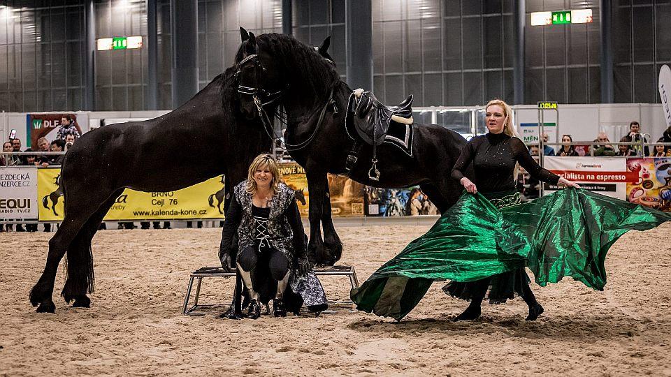Obrazem: Koně zdobí AgriShow v Brně. Výstavní veletrh se koná až do středy