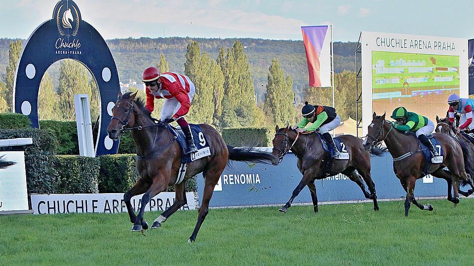 Co nabídne září v turfu: Nejdelší klasiky, Champions Day i přihlášky Velké
