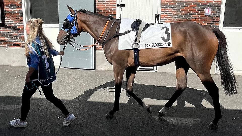 Cheeky Boy zazářil v Longchamp, jako outsider doběhl třetí v grupě 3
