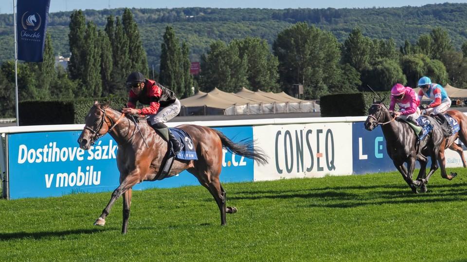 Prague Champions Day: Breizh Sky potvrdil třídu, skvělý Gasparini nestárne