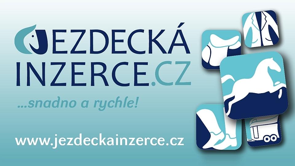 Jezdecká inzerce TOP10: To byly inzertní hity 6. týdne 2022
