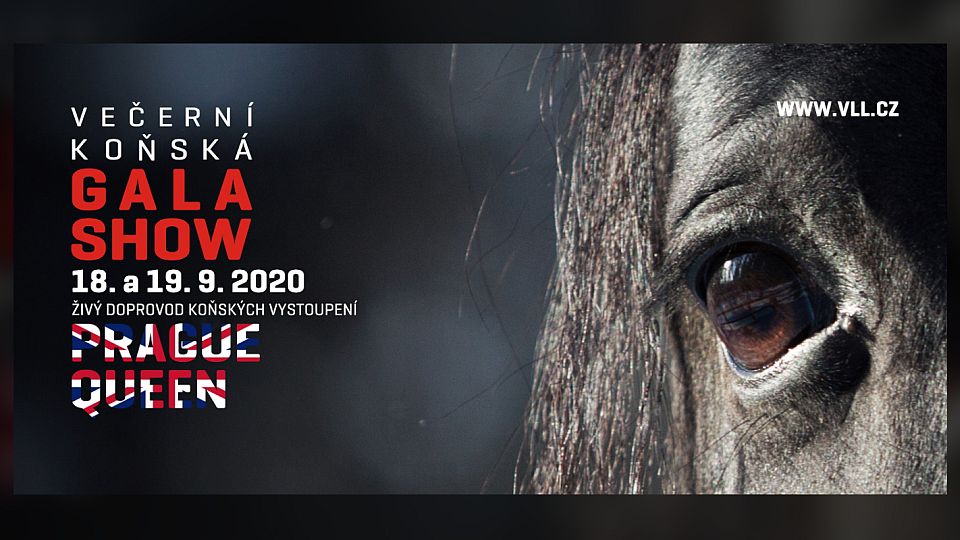 Magnet Koně 2020 na výstavišti v Lysé: Večerní koňská QUEEN galashow