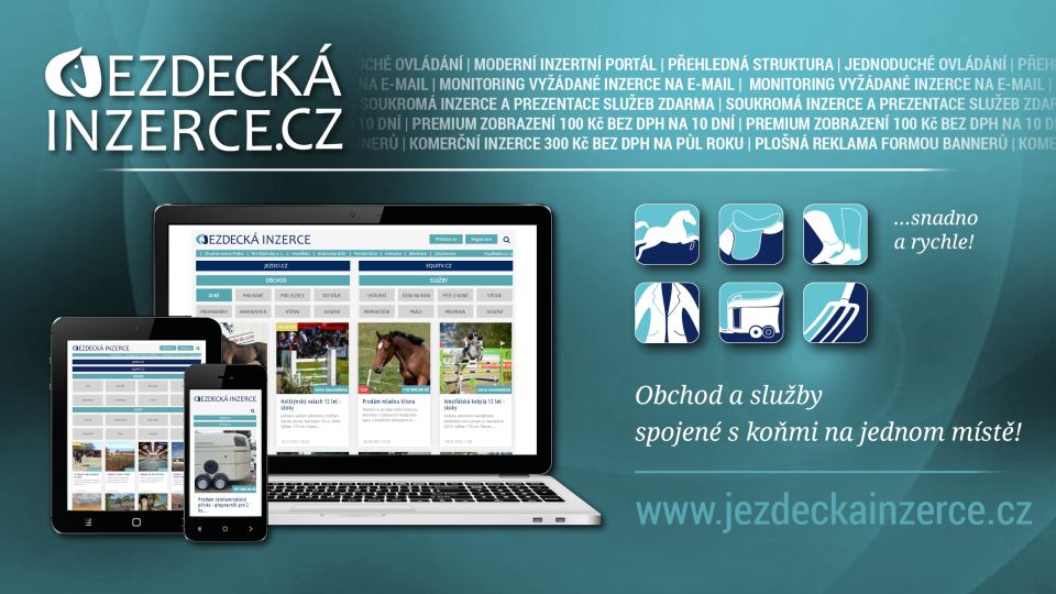 Jezdecká inzerce top10: To byly inzertní hity 12. týdne 2022