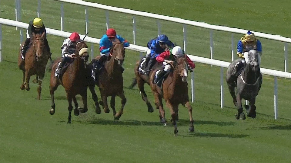 Cote Jardin druhý v Lyonu. Hvězdu stáje Cajdašrot zdolal jen Soumillon