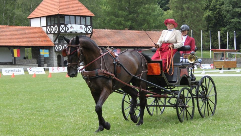 Vozatajská reprezentace v Polsku. Jezdci mají za sebou drezurní úlohy