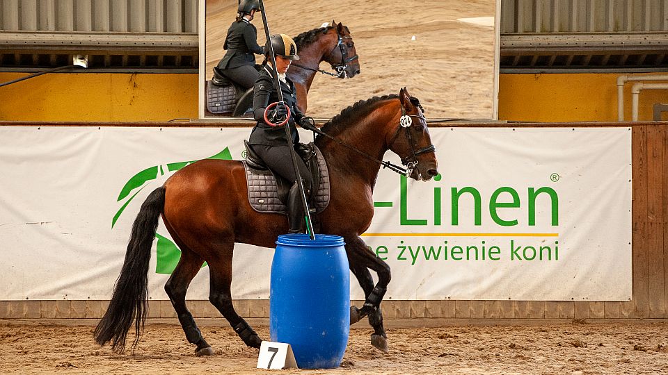 Čeští jezdci se poprvé zúčastní mistrovství světa Working Equitation