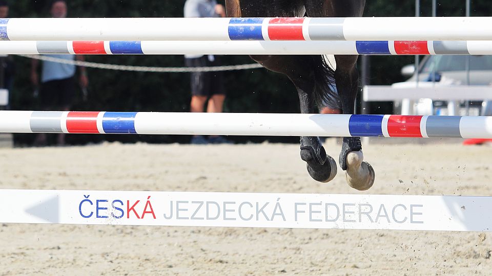 Změny v ekonomické komisi ČJF. Odvoláni byli Skřivan a Šalková