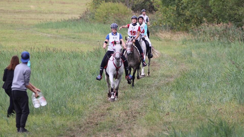 Mistrovství ČR ve vytrvalosti hostí Chlumec. EquiTV.cz bude o toho