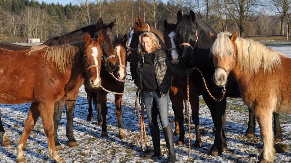 Dáňová: Zdražení poplatků bude mít dopad. Chci vidět konkrétní podporu