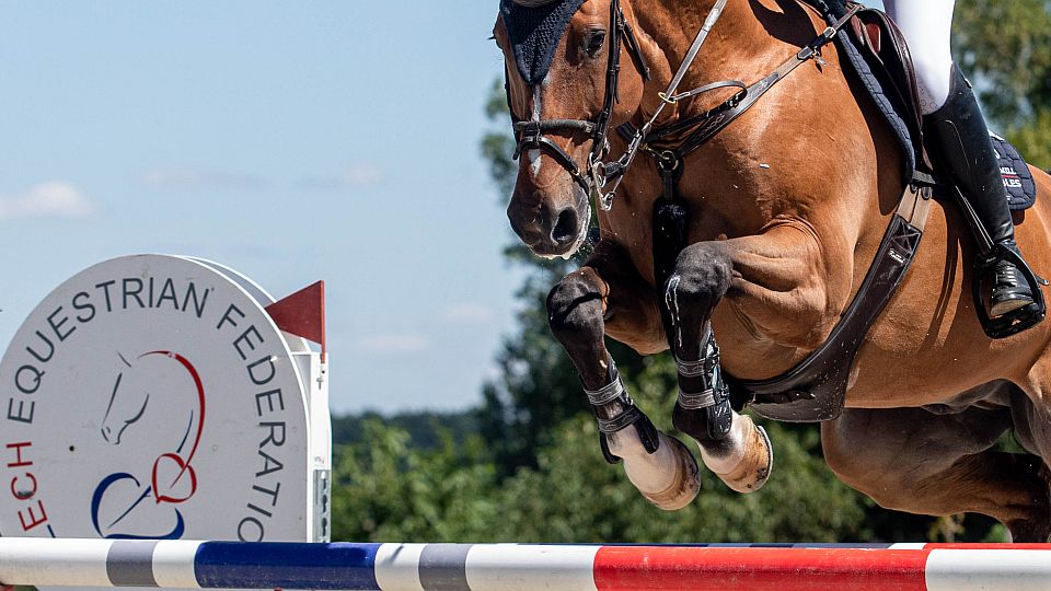 ČJF založila dceřinou společnost pro servisování komerčních aktivit