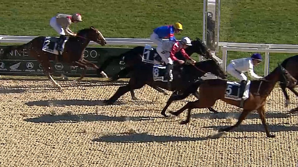 Cagnes-sur-mer: Donn Clifs za peníze, Vivernus sedmý v listed