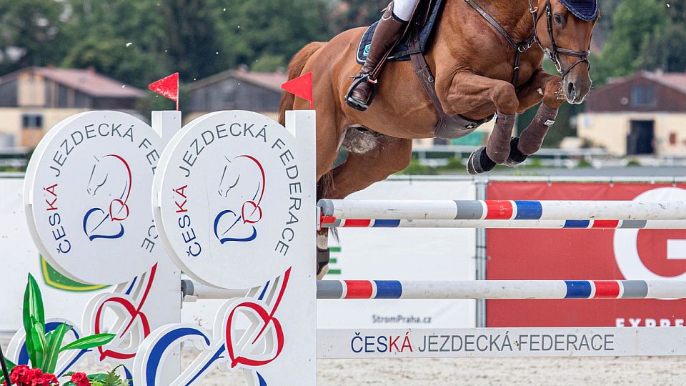 ČJF si najala komunikační agenturu. Připravuje dokument "Mýty a fakta"