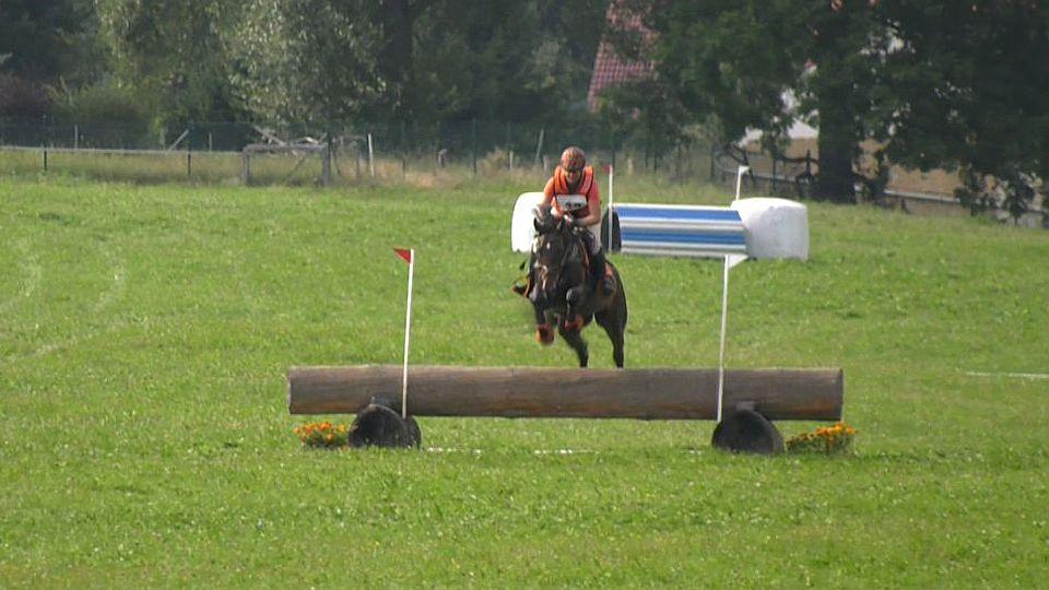 ikonka