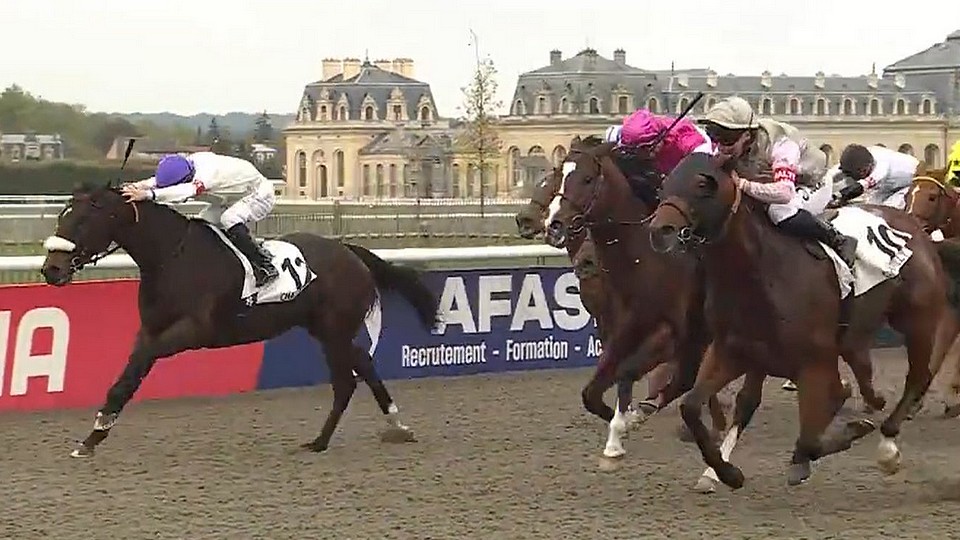 Úspěšné úterý v Chantilly: Dva čeští koně uhájili "tabuli" v Quinté+
