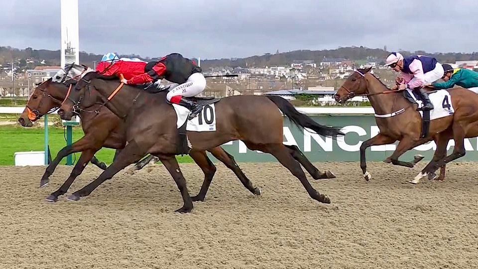 Ideal King a Wakai Go brali v předvánočním Deauville třetí místa