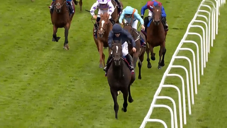 Coolmore potřetí za sebou vyhrál Derby. Lambourn soupeře ucválal start-cíl