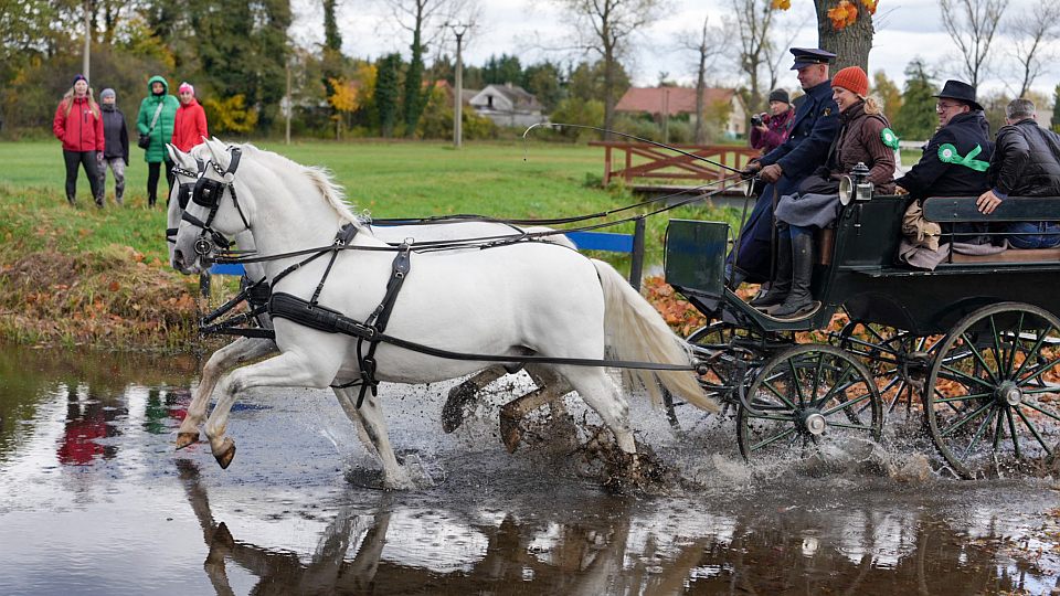 Při Kladrubské Hubertově jízdě převažovaly kočáry nad sedlovými jezdci