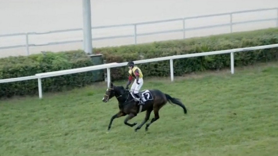 Hattrick Scuderie Aichner v Trevisu, Runa na měkku v Auteuil zadržena