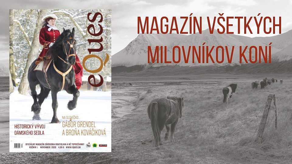 Magazín Eques 12/2020: O dámskom sedle, o jazdeckom umení Petra Šimeka