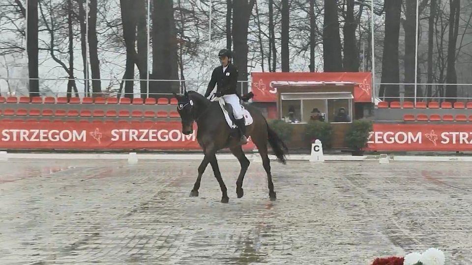 Příhoda po drezuře při CCI4*-S ve Strzegomi osmý. Vede Japonec Oiwa